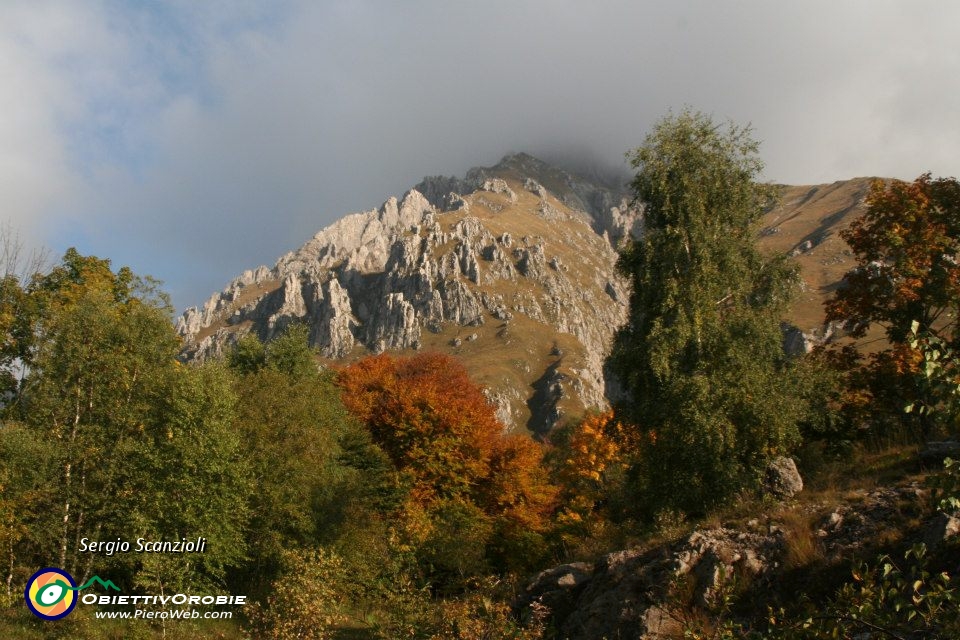 19 Colori autunnali.jpg